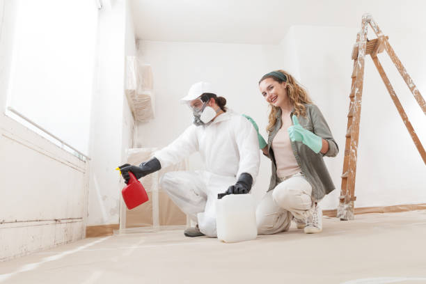Best Black Mold Removal  in Northwest Harwinton, CT